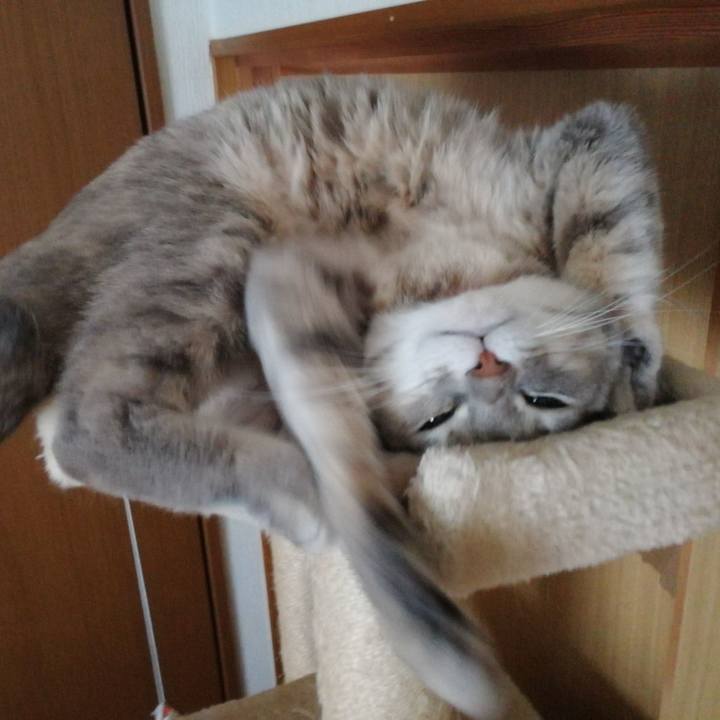 25e05da3 5e33 4ec5 9239 fc1e01cb7024 1547690125924