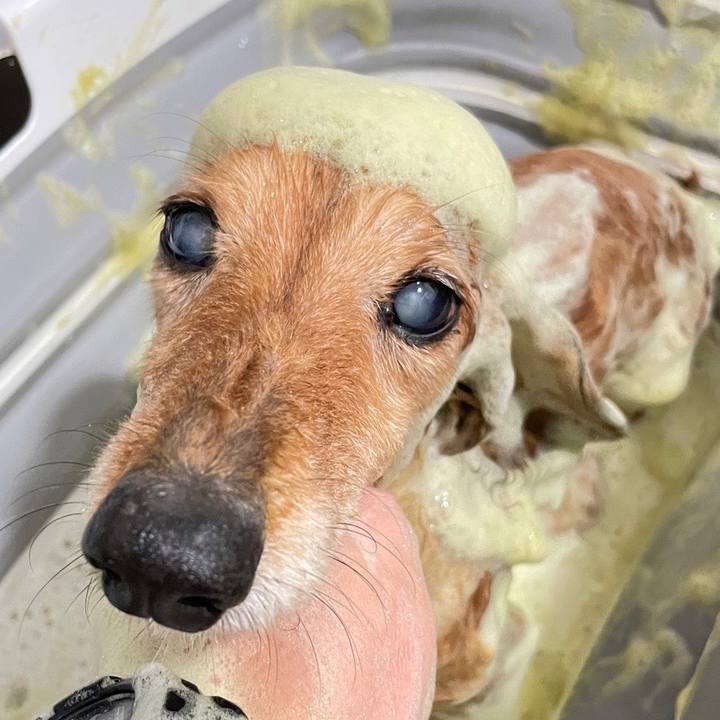 25e097af 8f46 4024 86a2 a2fc8dc0d18f 1665930385949