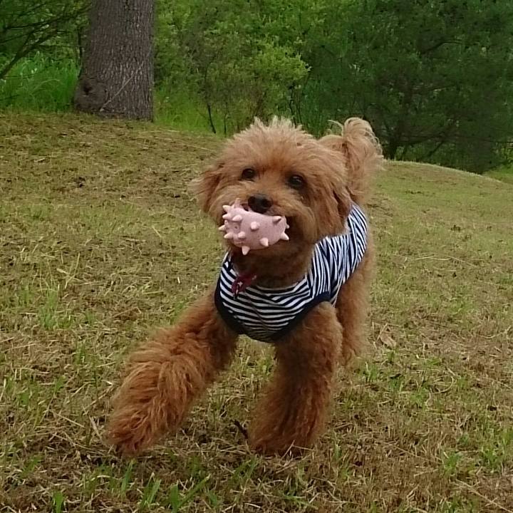 25e0a5df 3fe6 49af 9926 6b4b4f413f56 1529380461414