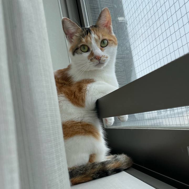 25e0c1a8 f1fb 4236 8869 3171660148f8 1661816038315