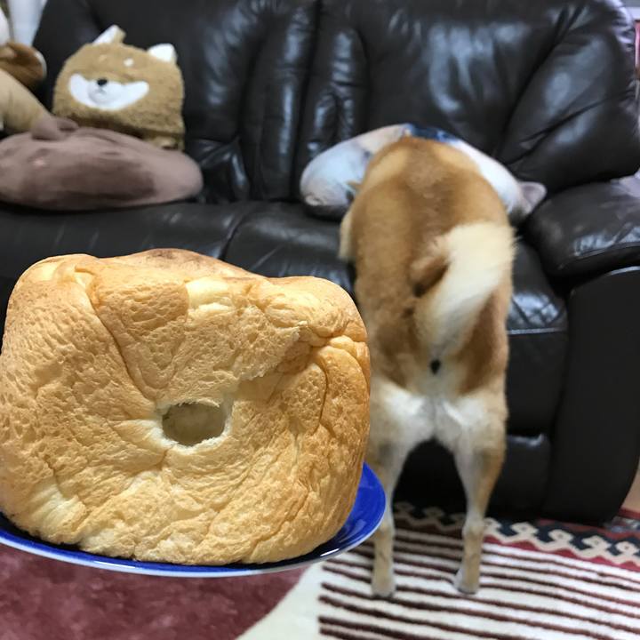 25e0d20c f340 4e37 90de 68399b3d9ff0 1512700262372