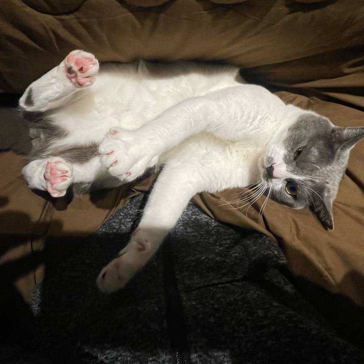 25e12563 f1a5 4f25 b93c fbcad9fa19ef 1670162188088