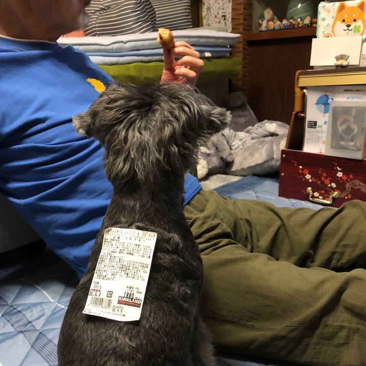 25e13f8a 8ecd 4720 8b3f 7adef8687465 1662386076754