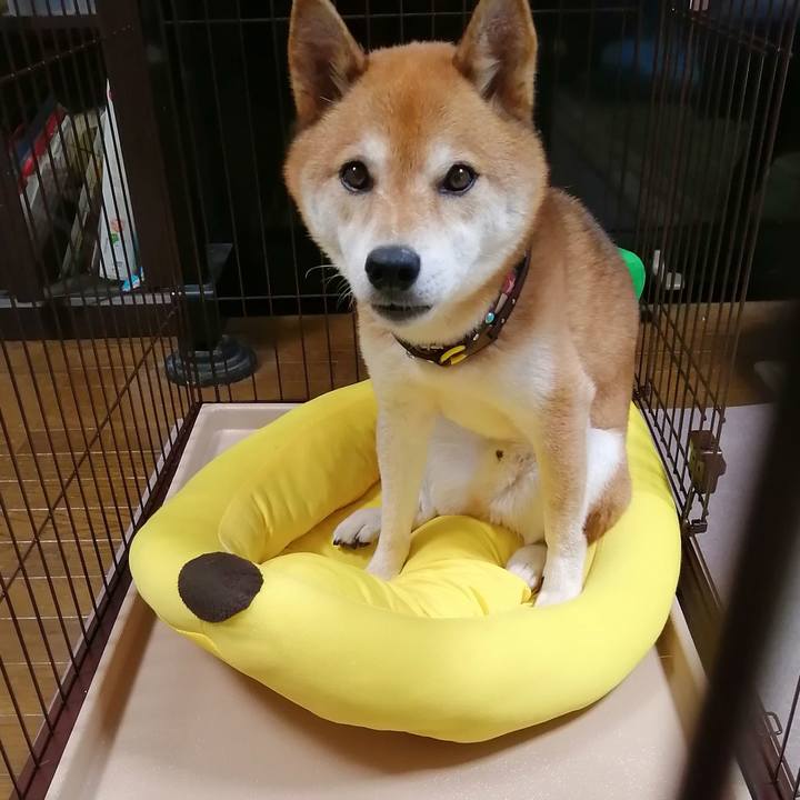 25e17b92 8c1f 4709 8b51 f1789d150149 1659526224688