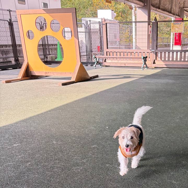 25e19e9e ad9c 4630 a21f deefd3f9f1bf 1763187644417