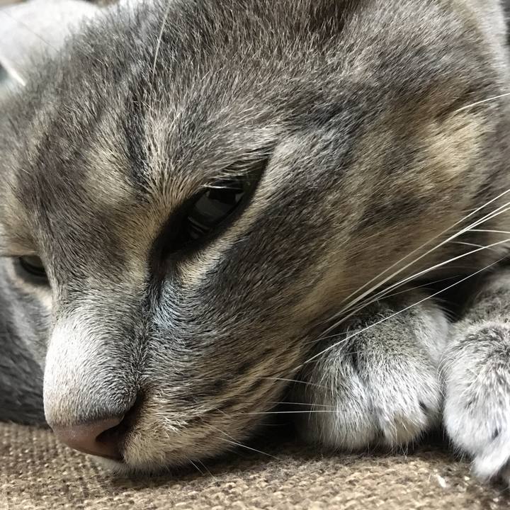 25e1d168 6f96 4da9 a4e4 c852ef556a5c 1560004466914