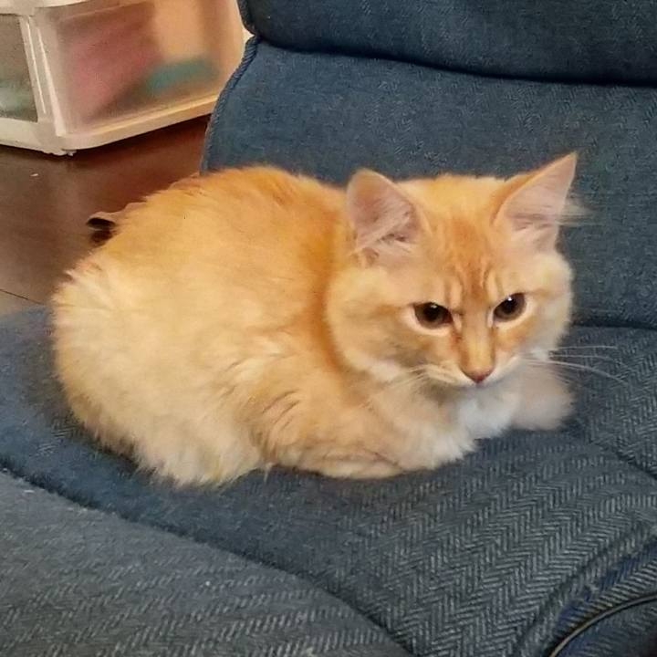 25e1da37 4107 4649 9638 bf9cf72845a2 1610060765996