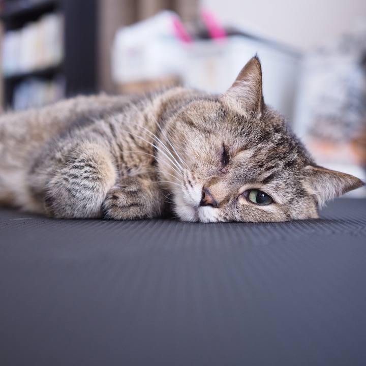 25e1dd39 9043 4b72 b778 f6c78a23f833 1531180283413