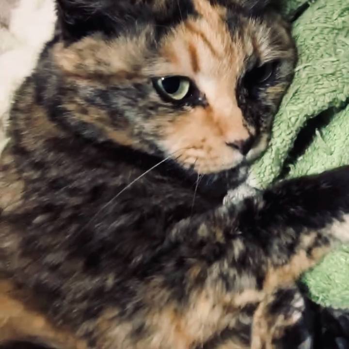 25e1e38d a3d4 4007 ac26 fb2a93e26572 1742329513710