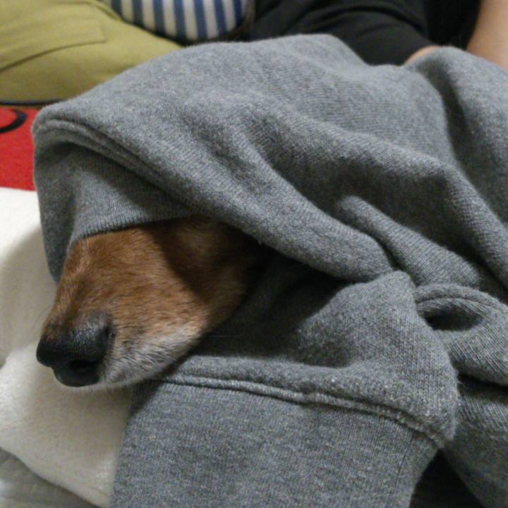 25e24b54 8514 41f1 838a 74c2e5b22142 1569085570328