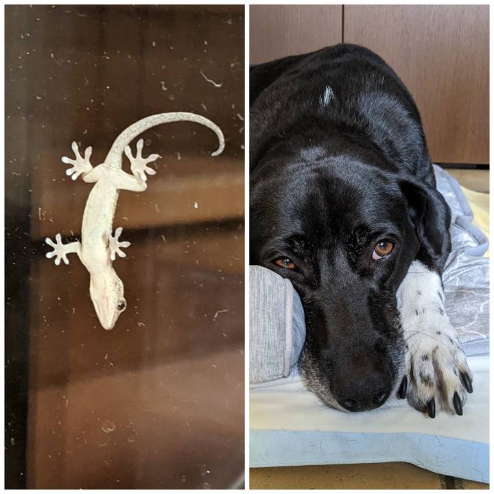 25e24ed8 21fb 4682 af88 6ebcb4406c70 1690675102043