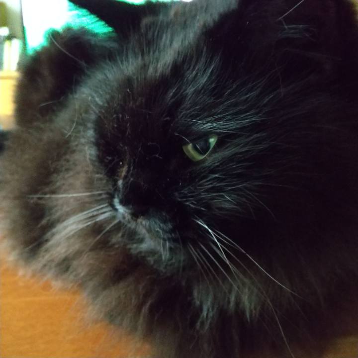 25e26f35 b41e 499d b1f8 4b70b59237f5 1628750954333