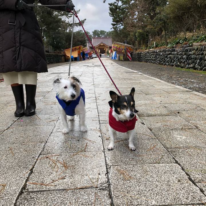 25e2787f 2edd 4ca0 b560 944c27ab70a2 1577757771980