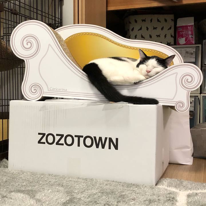 25e28db7 fd89 44bd 8cbd 0c3a606a9466 1559196160930