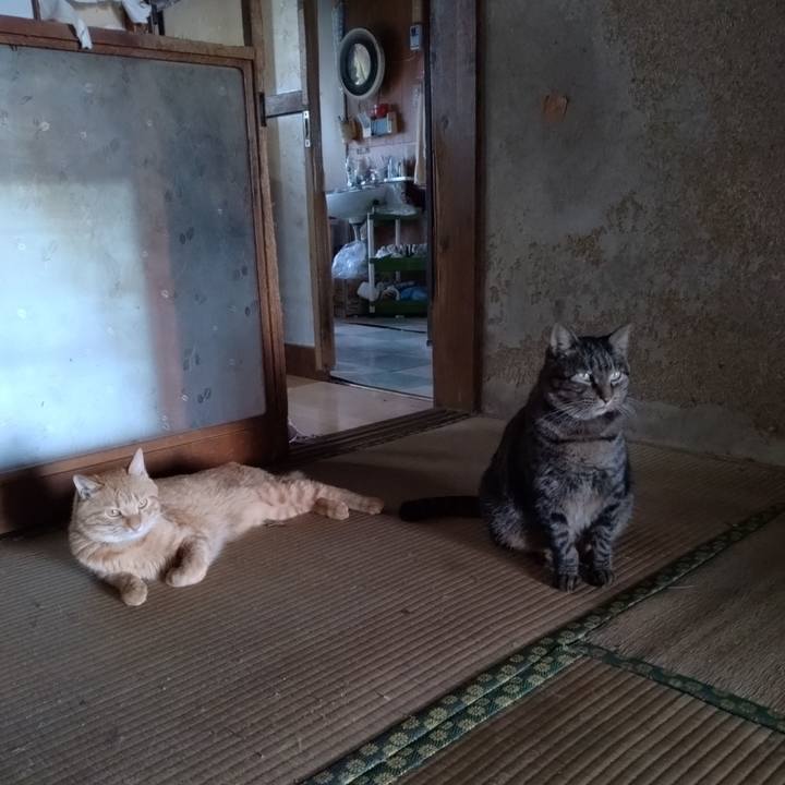 25e28f56 6de8 42f1 8939 f8f78928d72f 1664696570545