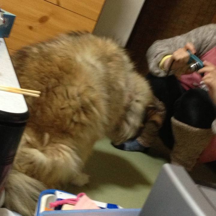 25e2ca89 8783 4e80 b29c 8b0e7681b228 1583391817985