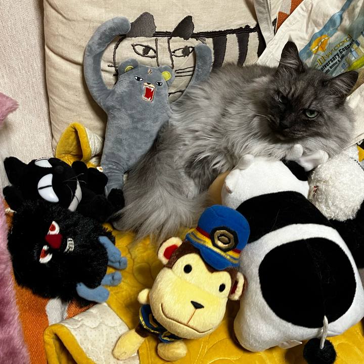 25e2ff7b 7fc4 48b2 8284 6262ab3ff924 1720080845865