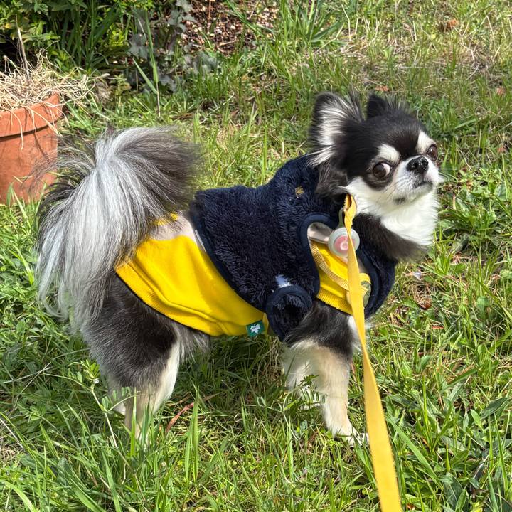 25e30664 d45d 4142 a9f3 5e415e889f2b 1743350900512