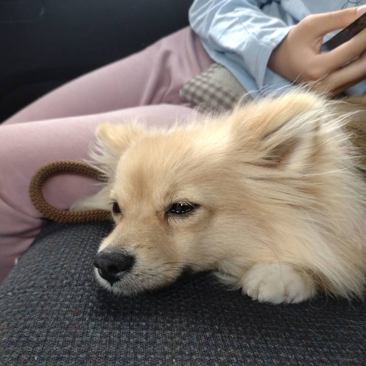 25e30fbd 9d8d 4253 bfd6 e400ef4c5f15 1748478652667