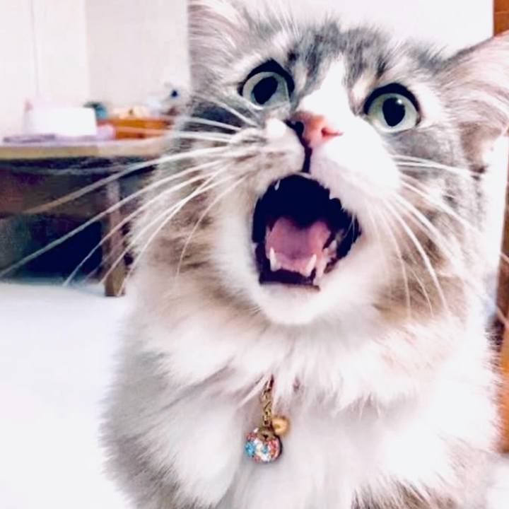 25e32c5d ecaa 4a8d a3e3 aa2d7165bff7 1723651464025