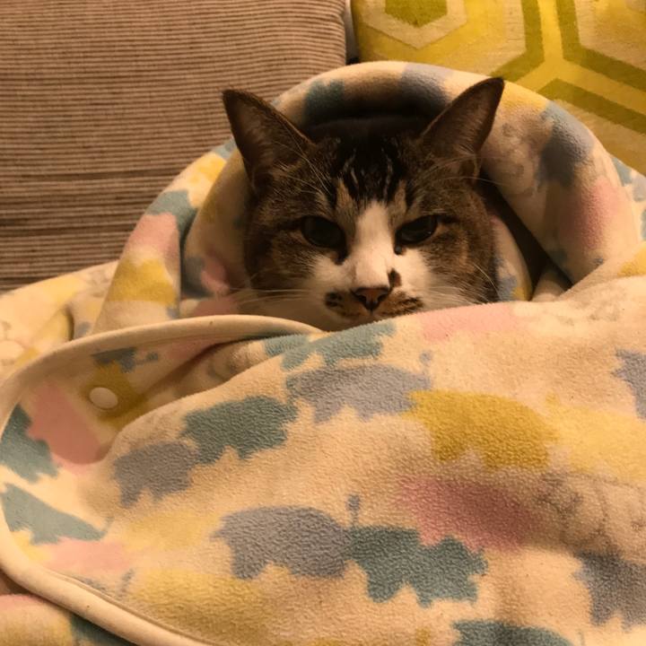 25e3751e 7a70 430f b3c4 9b572fc9a063 1603113834015