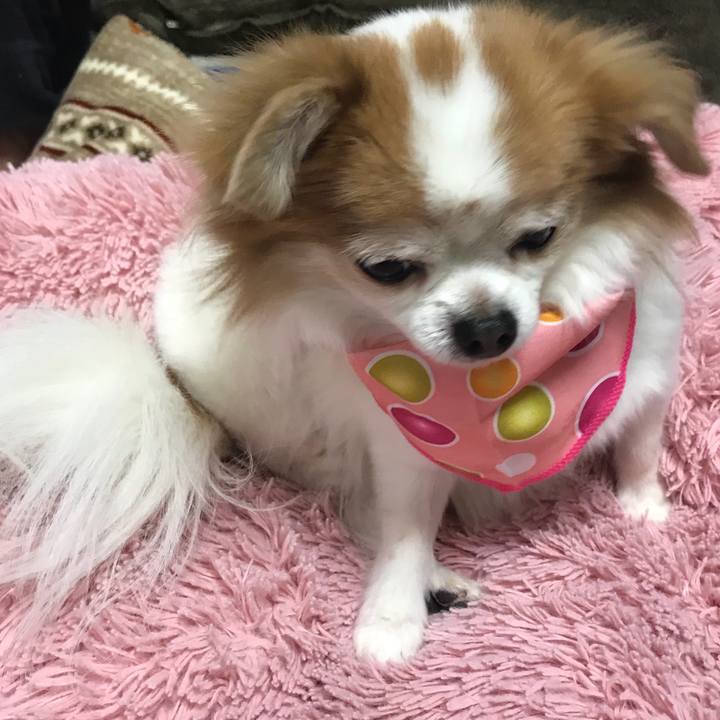 25e3bf59 4e9d 477c 9426 cacead2dfad3 1548587373981