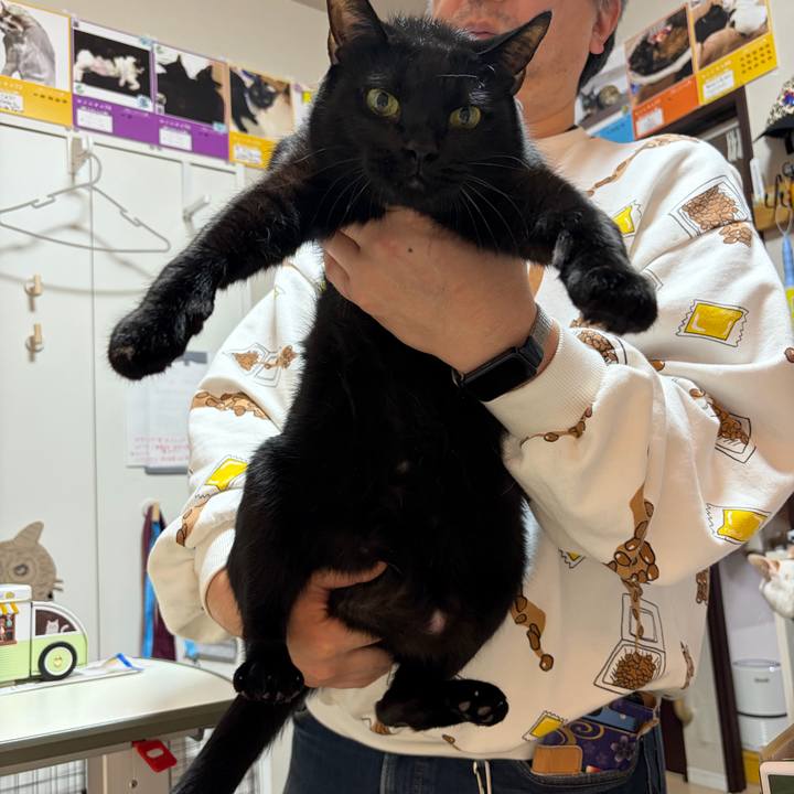 25e3c809 af7c 4e7b a5b0 79f1d2929b98 1772370618249