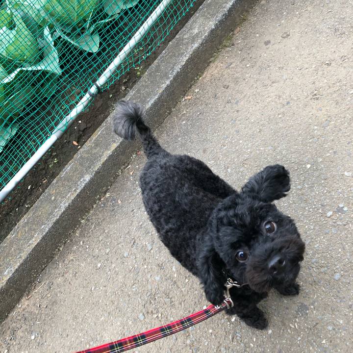 25e3d275 877b 4728 a33f 2cf48ec829a1 1569136927241