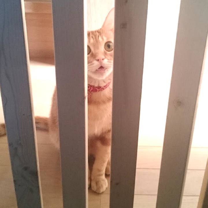 25e4150c b85e 4687 8e9d e87b2e17cf1d 1575758754366