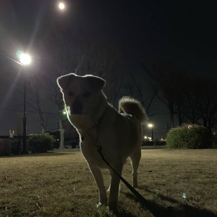 25e4636a 0b9d 4311 8832 16f34a7a2cd0 1550486485402