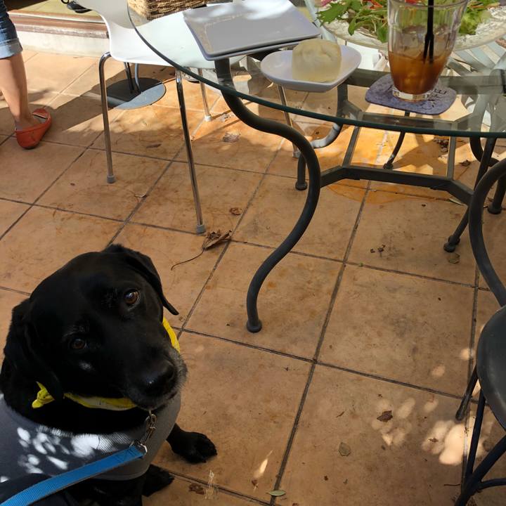 25e49d35 8084 4679 87d6 9158408f2ba5 1540095766337