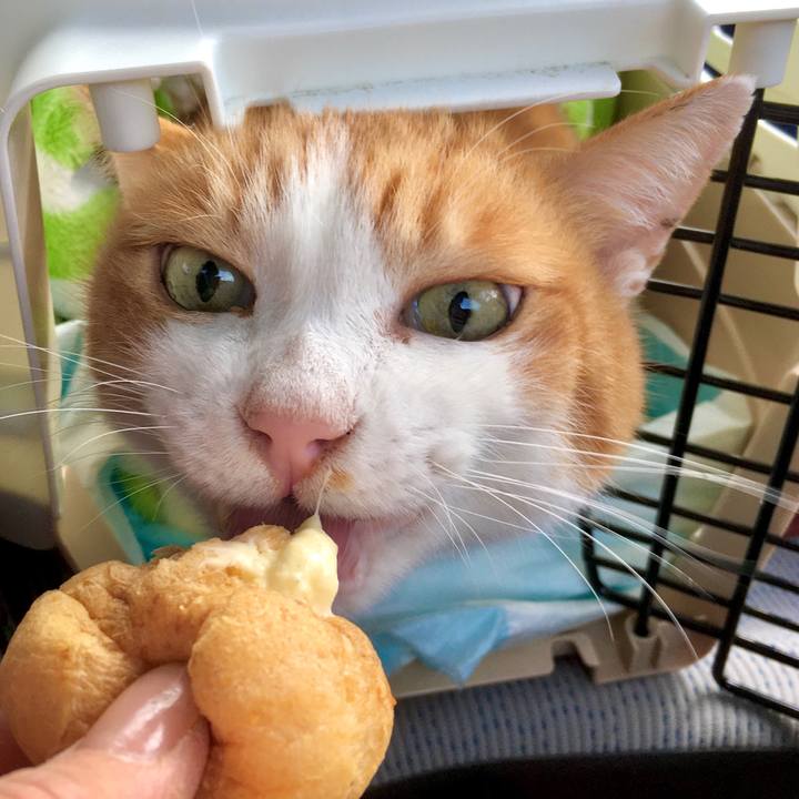 25e4ce1d 88d7 43cc bb5a 78b7dbdf686d 1575269859090