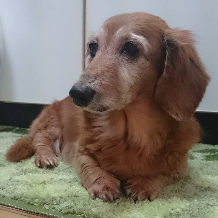 25e4e3b6 c1b0 416f 9be7 72157cfbad3a 1607359035498