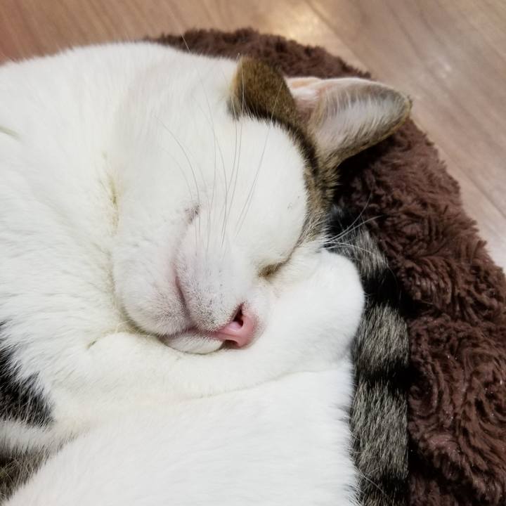 25e4e5c8 ee60 4a1b a05b 2a65f39dbf1f 1604266922672