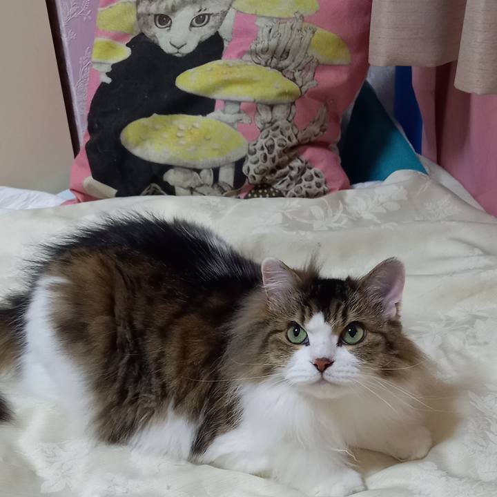 25e50f69 b7b1 4dab 895f ec1916796e5e 1657578826200