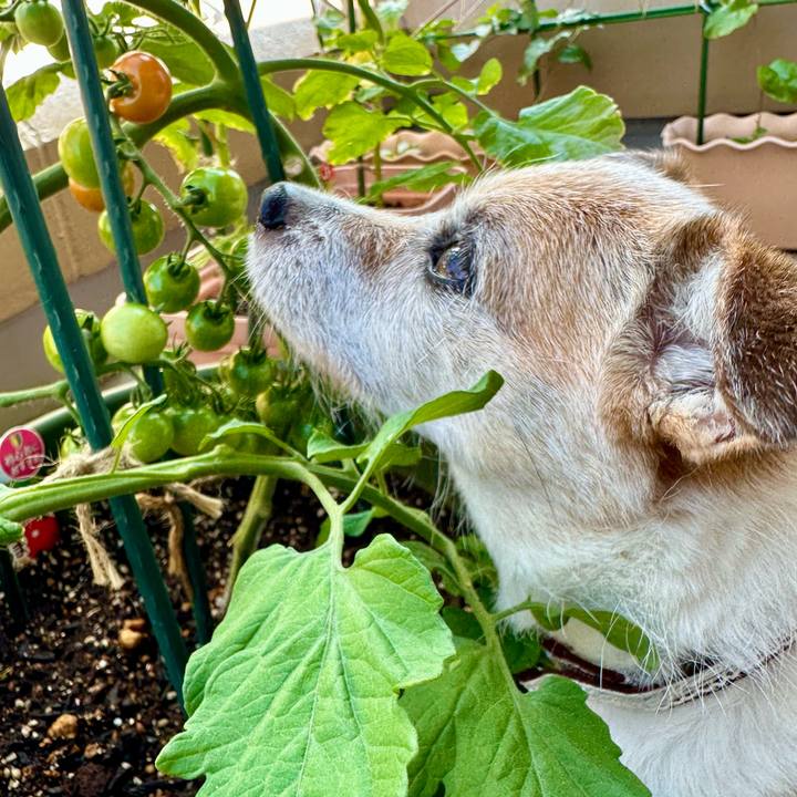 25e520b4 4838 46ec a3d1 2ab64f43d6eb 1687323610293