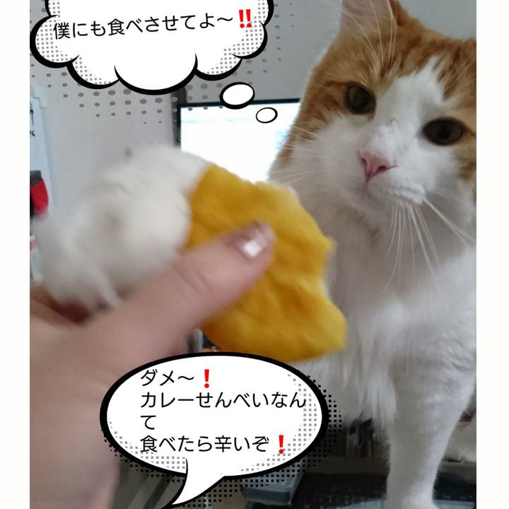 25e52d52 f514 4435 ba34 5030e704f1f9 1509297811004