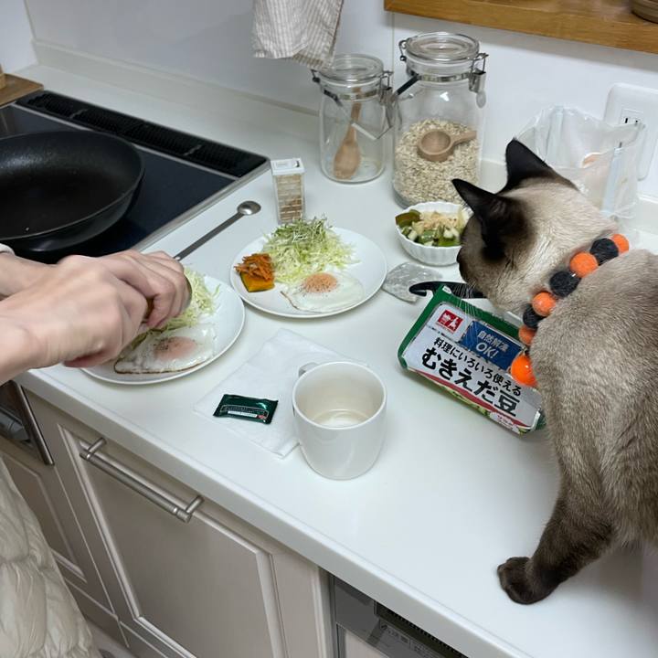 25e55d6e f5c9 44a8 b21c c738430bdfdd 1729717330912