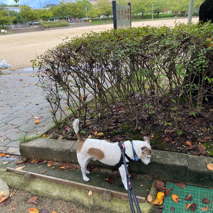 25e56e0d dacf 492c b7e4 2840ab321651 1631934044628