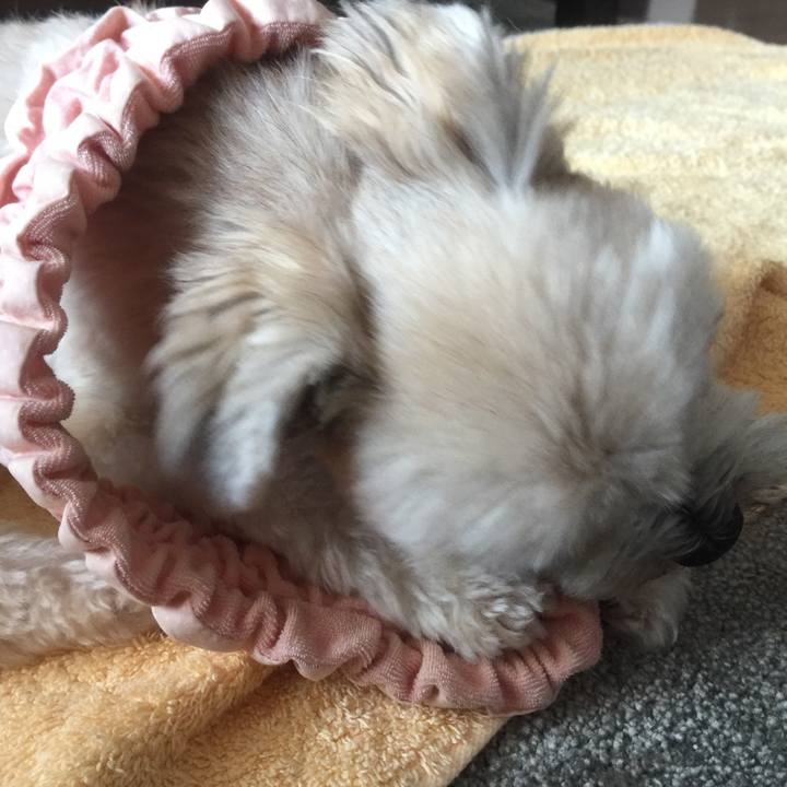 25e57e7b 07ff 43e7 a889 64de1e2fa38f 1533039397519