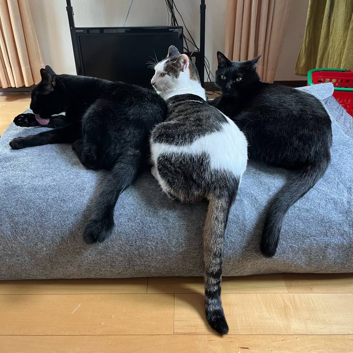 25e5afb6 4e0a 4e35 a36c d248bd81f43b 1655610641532