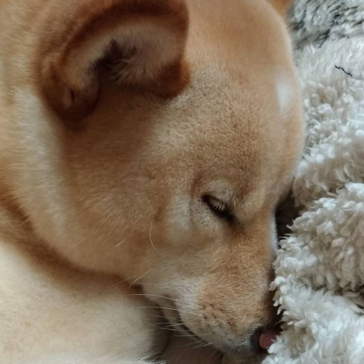 25e5bc03 8c49 4990 aa34 9d5775f92dda 1581851572491