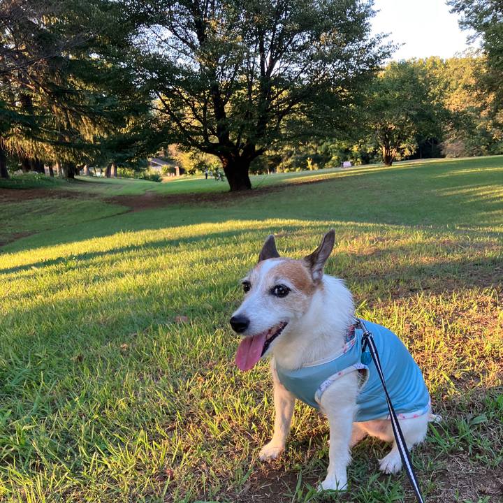 25e5e238 8e99 4e06 ab32 6eff6d17be62 1695079077268