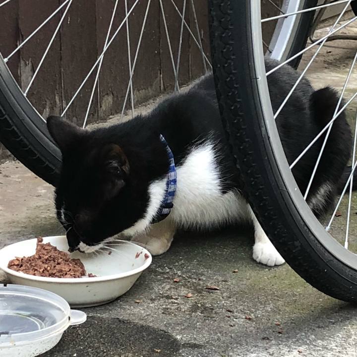 25e61930 6618 402c b782 e58c79b2d02f 1528550749476