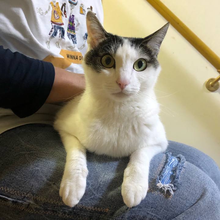 25e65d94 fe00 4795 9ff0 f71613b10335 1715088912285