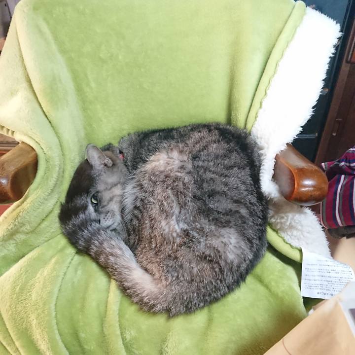 25e6654f 9b13 4089 8db6 6e6acef3dcd9 1589326478382