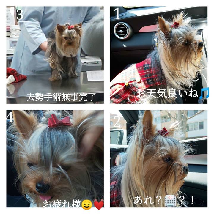 25e67c21 ca7f 4eda bc7d ac3a0747bdcb 1616585607249