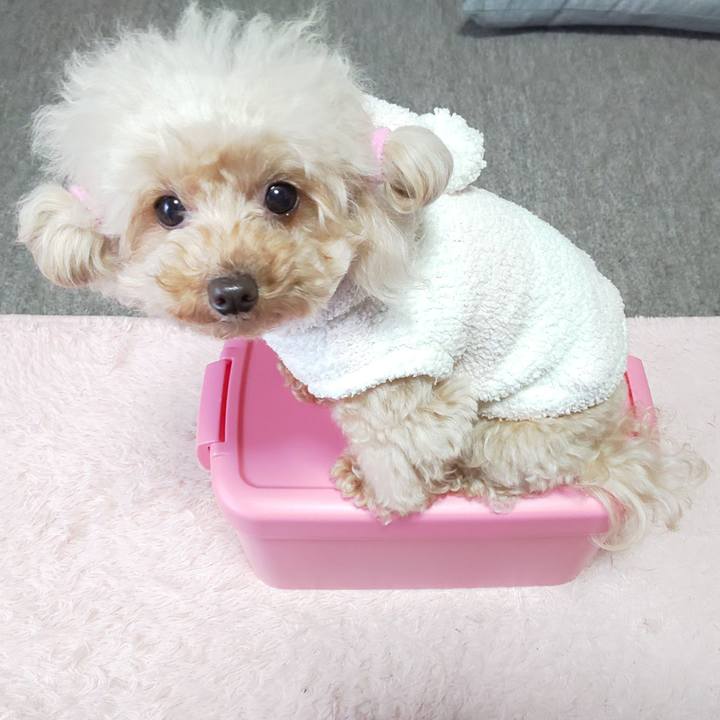 25e6890d 933c 4c3f 92b2 b66ced90f071 1575033486767