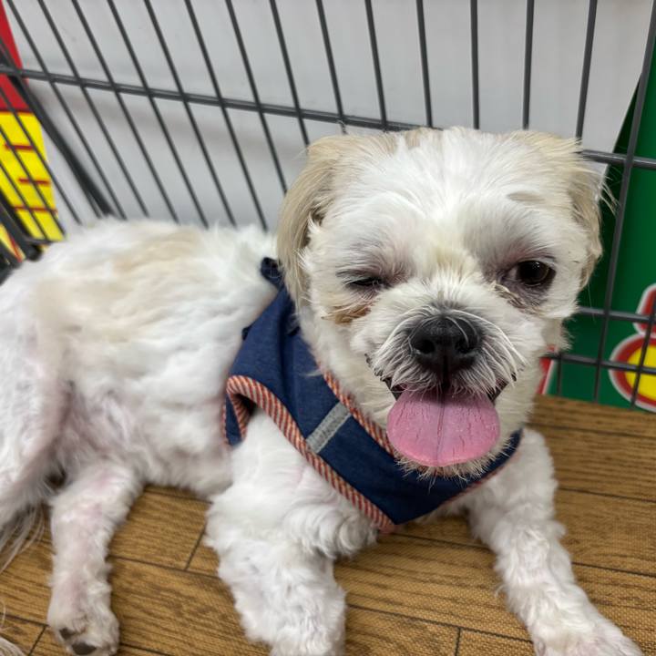 25e6c0d0 de29 4b20 b112 82d5c159debf 1753393505964