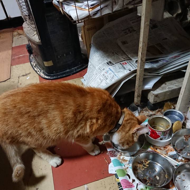 25e6e28e 01cd 45fc 8870 bcd9c6a76438 1592649032094